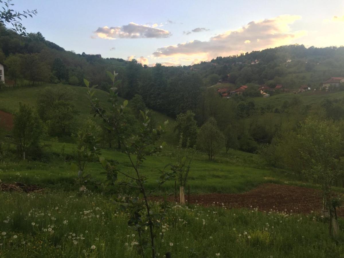 Dolores Tesanj Buitenkant foto