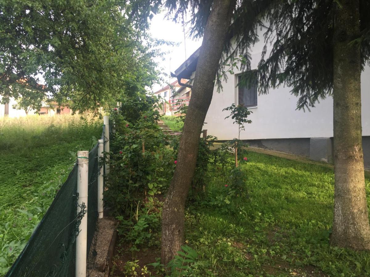 Dolores Tesanj Buitenkant foto