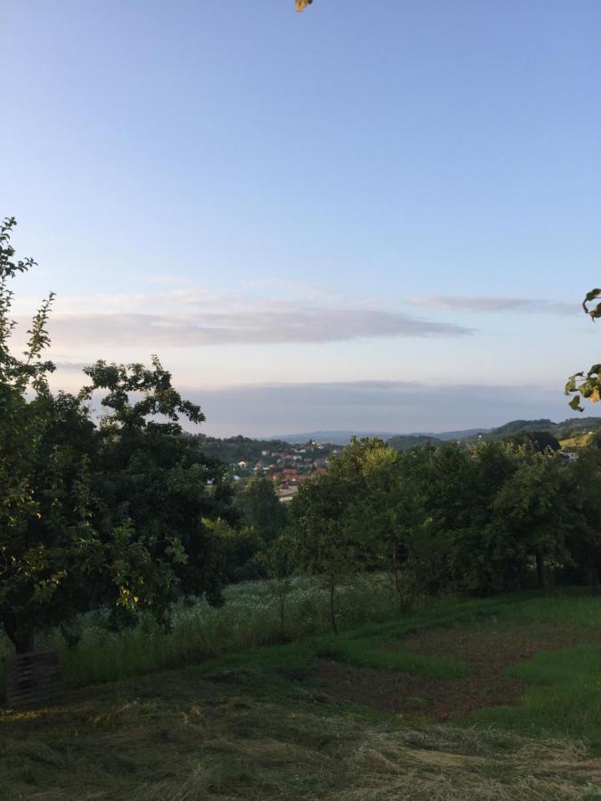 Dolores Tesanj Buitenkant foto