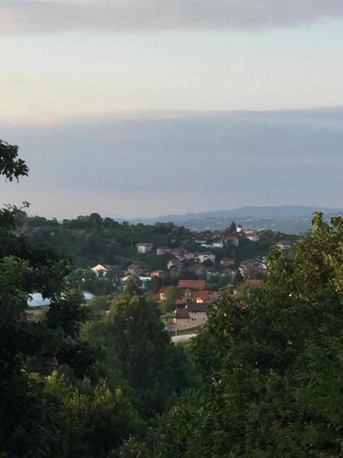 Dolores Tesanj Buitenkant foto
