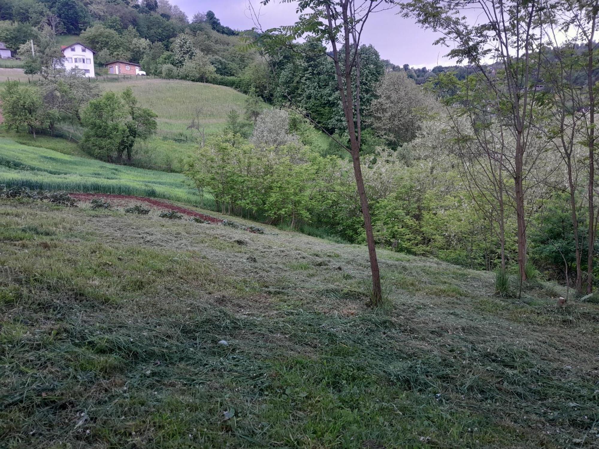 Dolores Tesanj Buitenkant foto