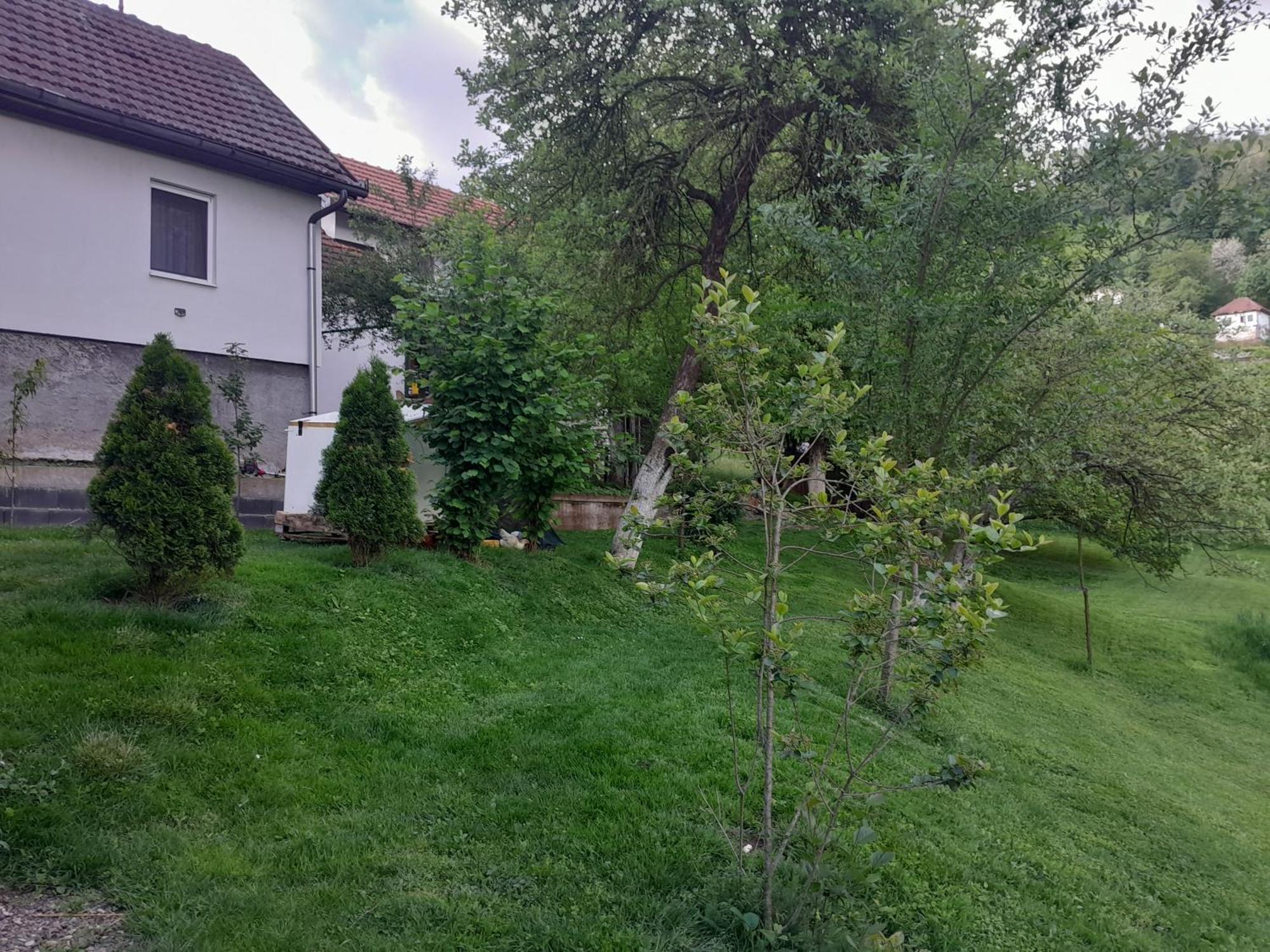 Dolores Tesanj Buitenkant foto
