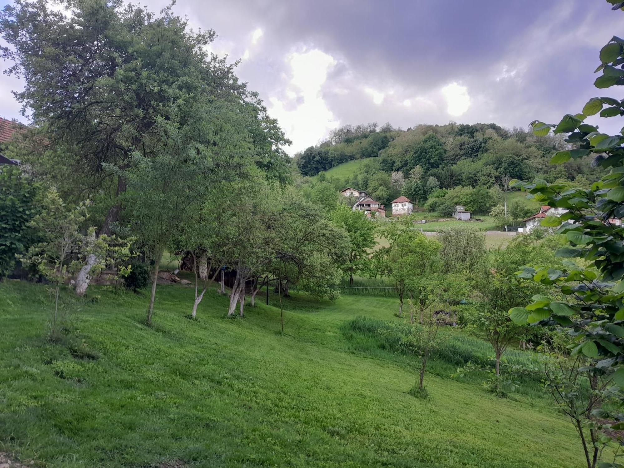 Dolores Tesanj Buitenkant foto