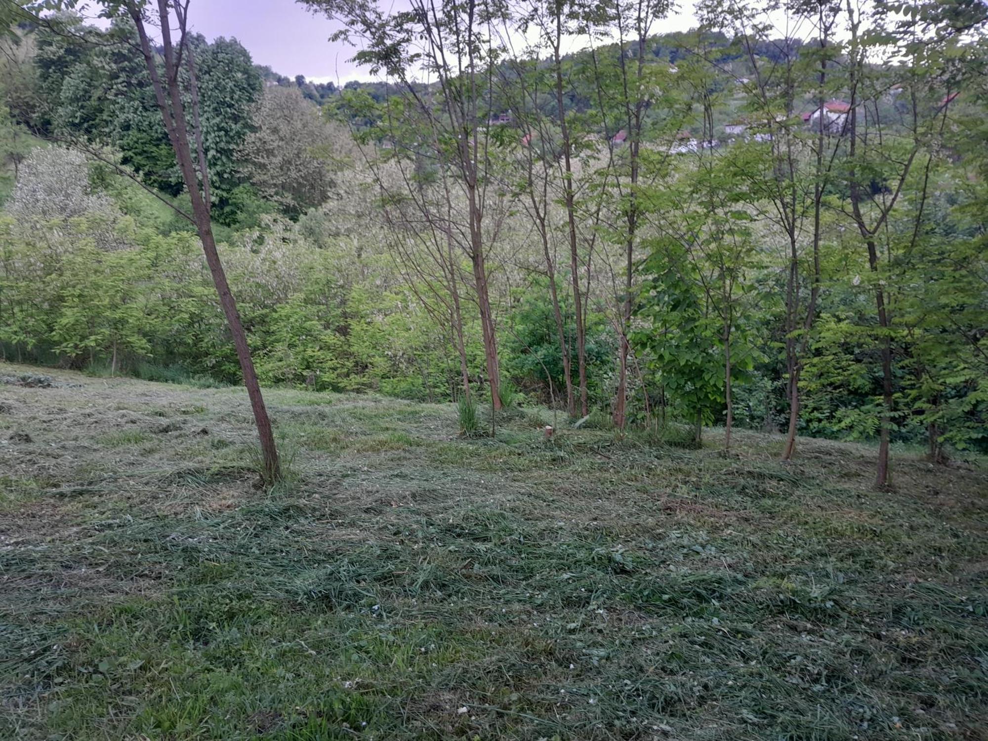 Dolores Tesanj Buitenkant foto