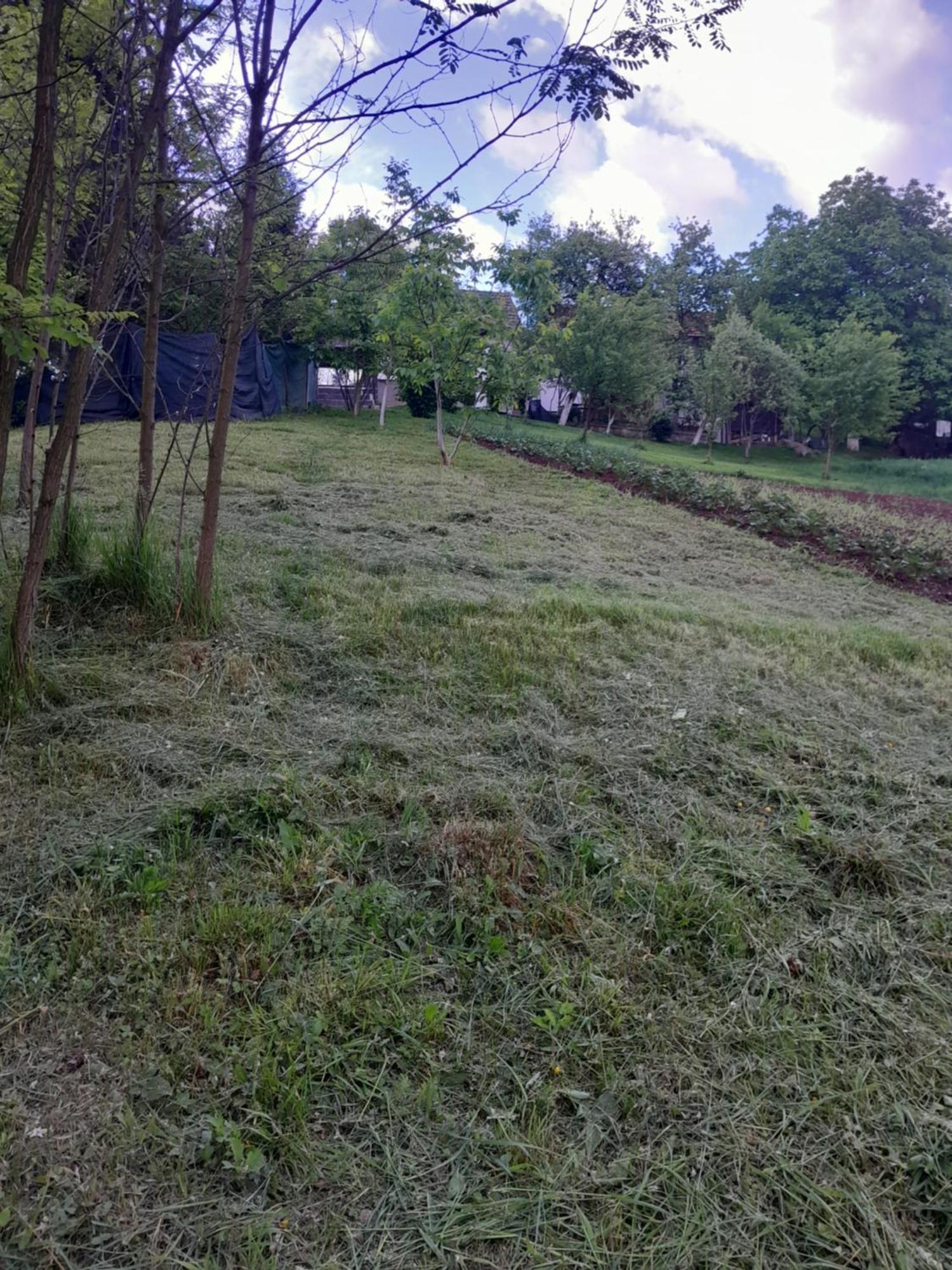 Dolores Tesanj Buitenkant foto