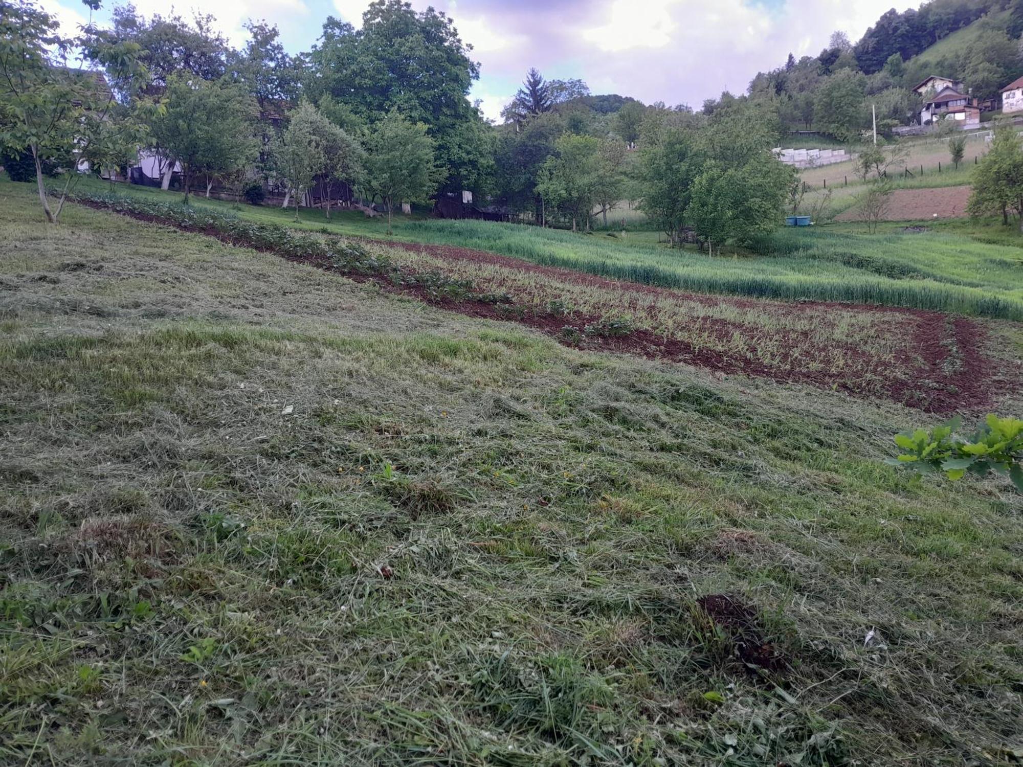 Dolores Tesanj Buitenkant foto