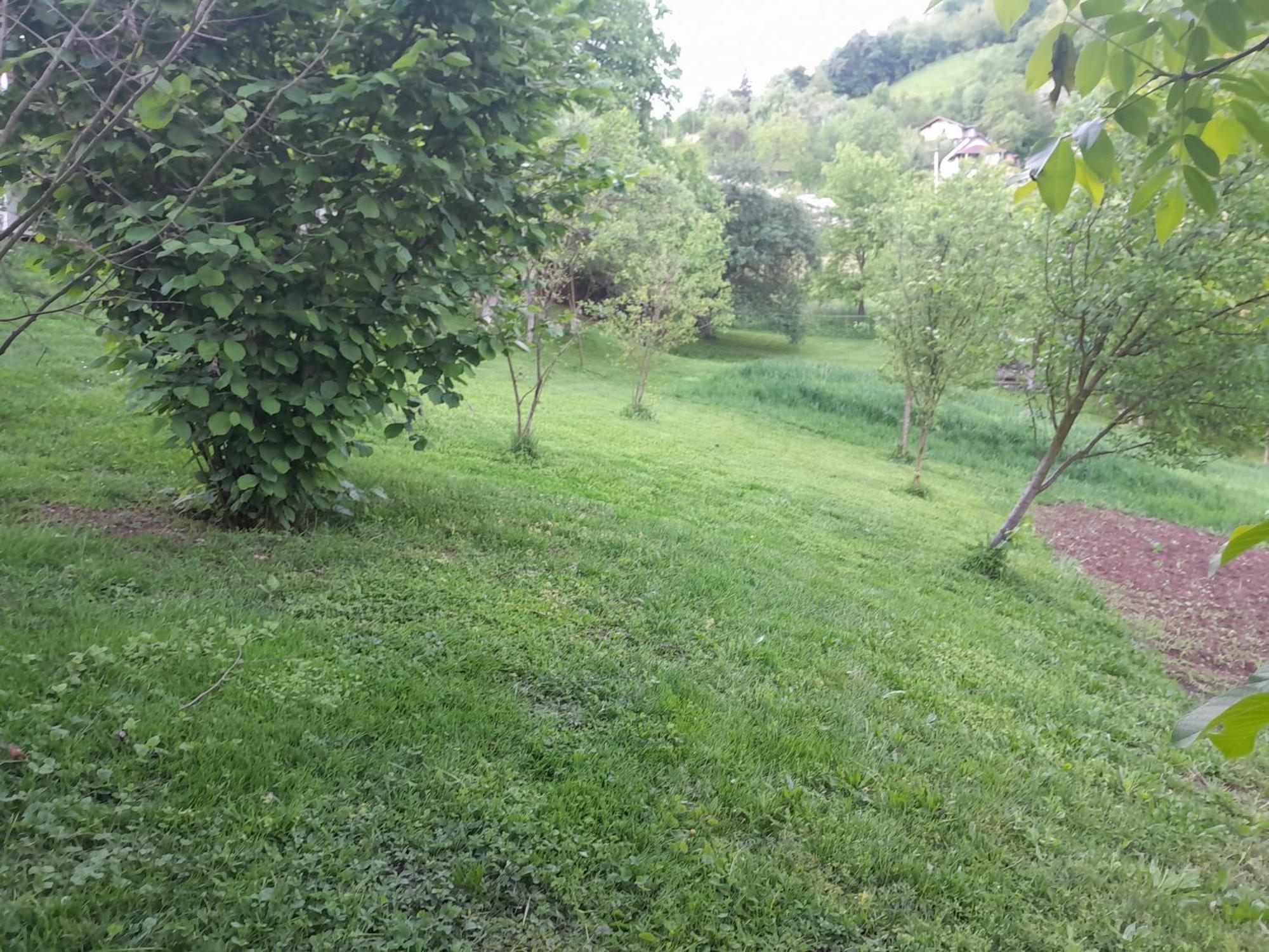 Dolores Tesanj Buitenkant foto
